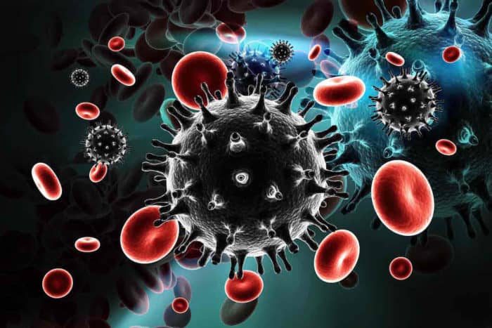 Virus HIV gây ra bệnh AIDS