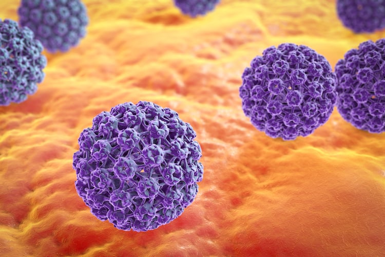Virus HPV - nguyên nhân gây sùi mào gà